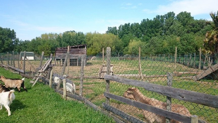 Cactus Park, Bessan, France